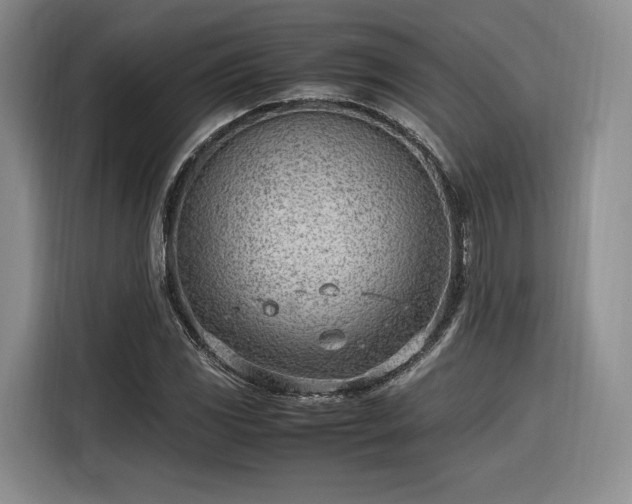 X0000116311117200912071303