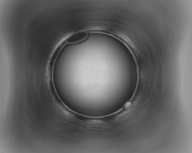 X0000116311119200912071303