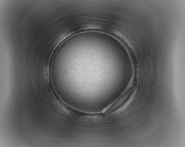 X0000116311121200912071303