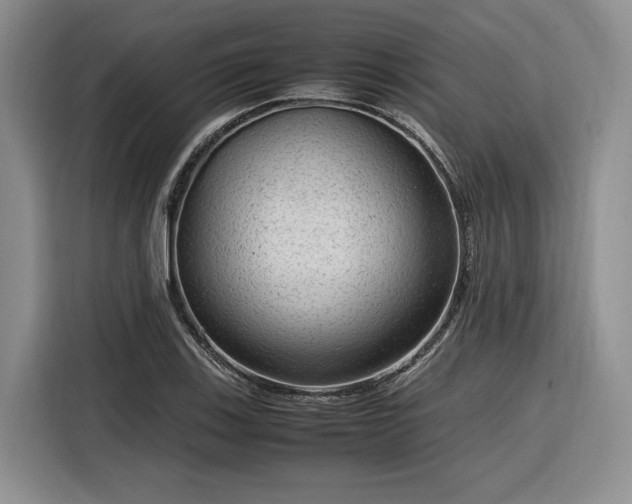 X0000116311123200912071303