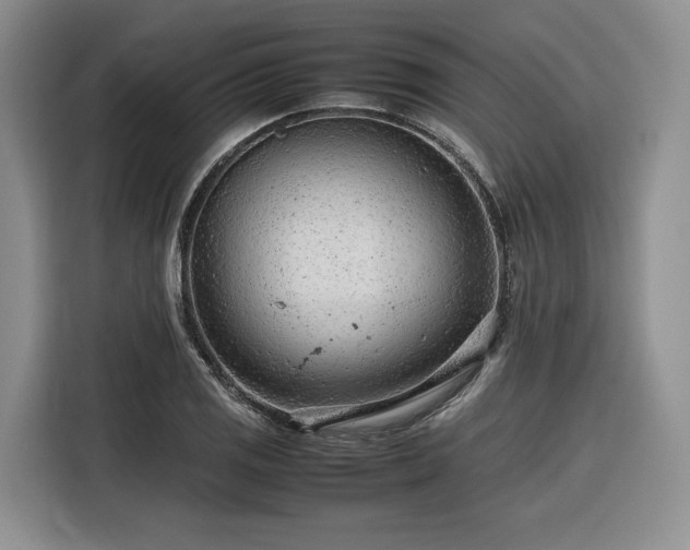 X0000116311125200912071303