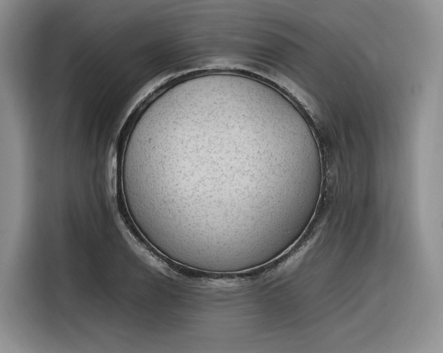 X0000116311126200912071303