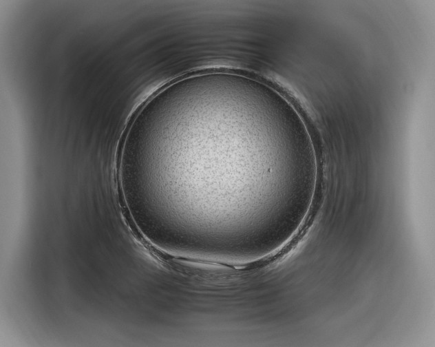 X0000116311129200912071303