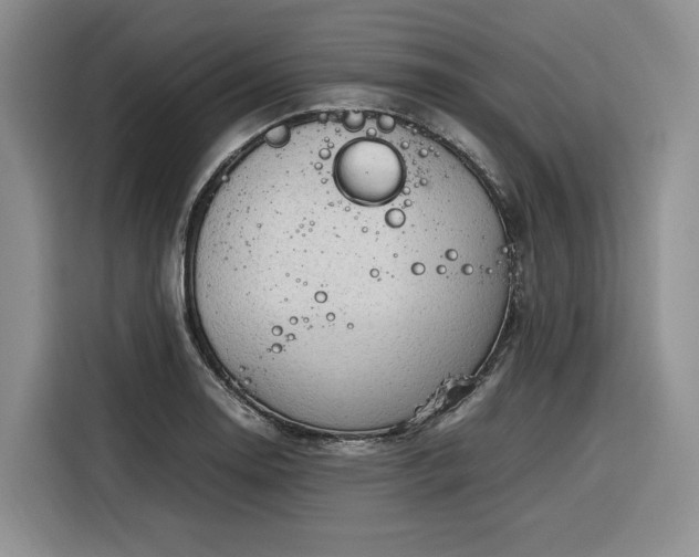 X0000116311130200912071303