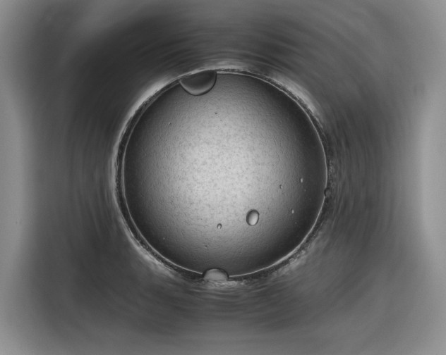 X0000116311135200912071303