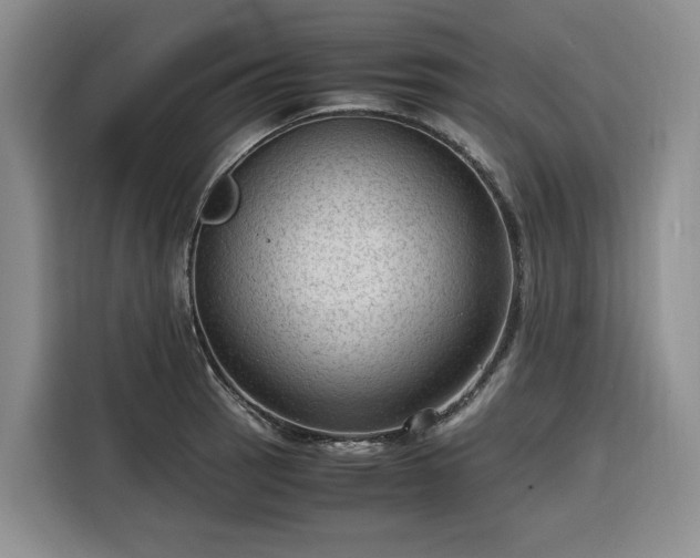 X0000116311137200912071303