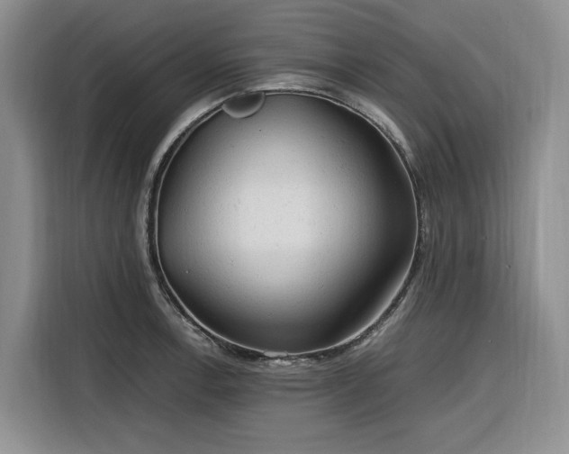 X0000116311138200912071303