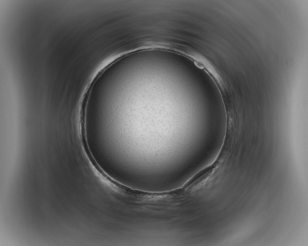 X0000116311143200912071303