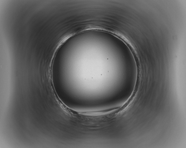 X0000116311145200912071303