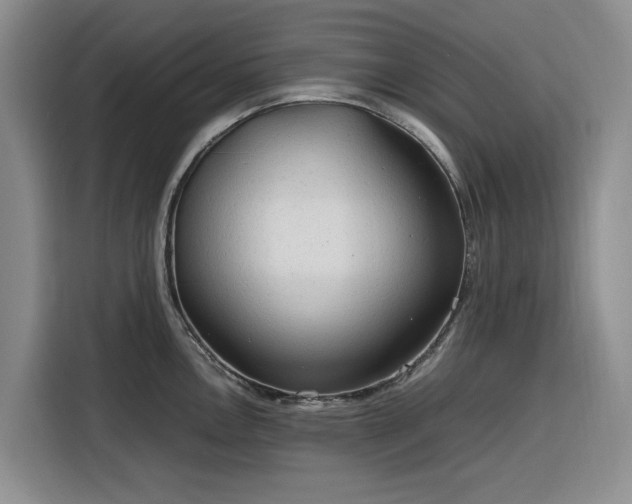 X0000116311146200912071303