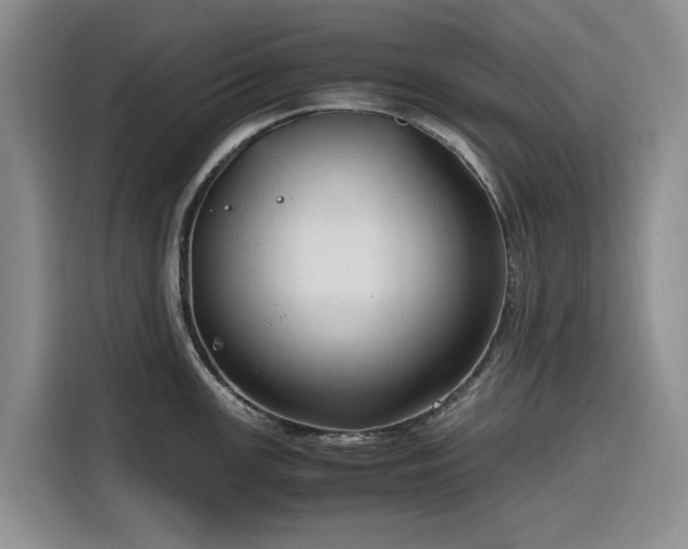 X0000116311147200912071303