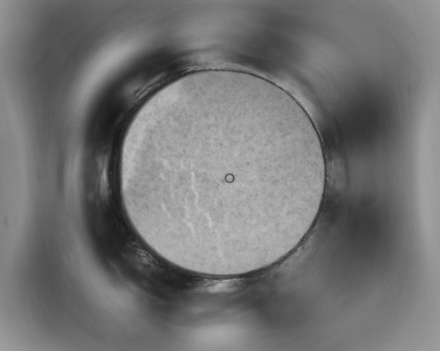 X0000116311150200912071303