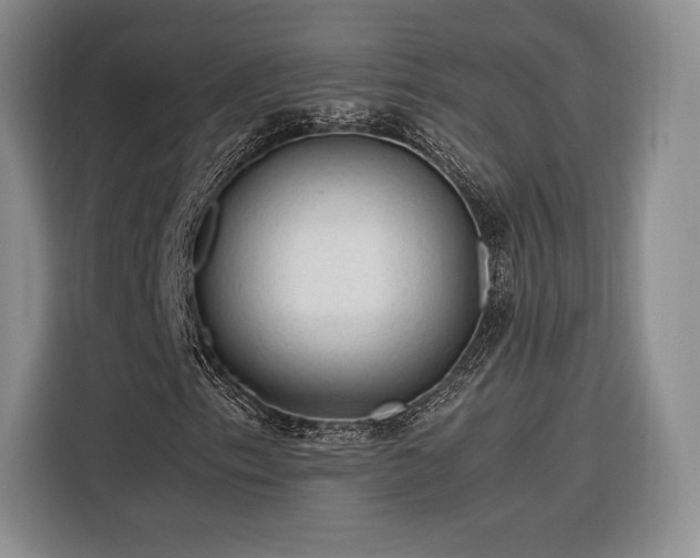 X0000116311153200912071303