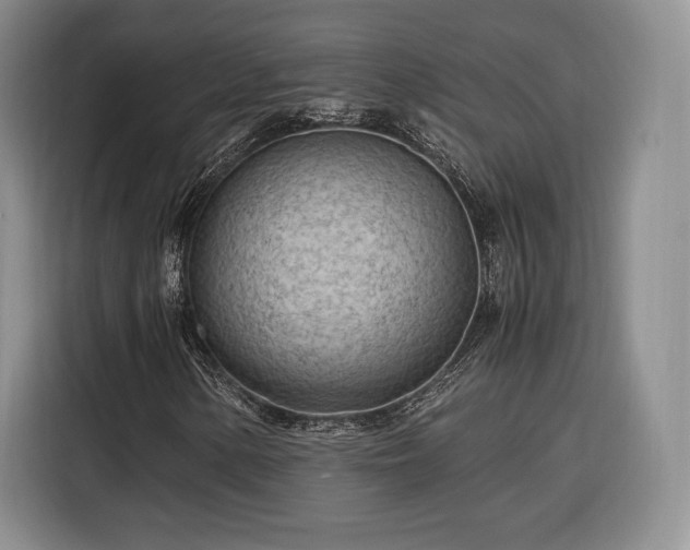 X0000116311154200912071303