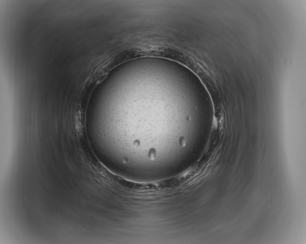 X0000116311156200912071303