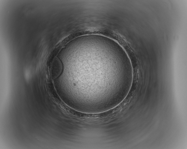 X0000116311158200912071303