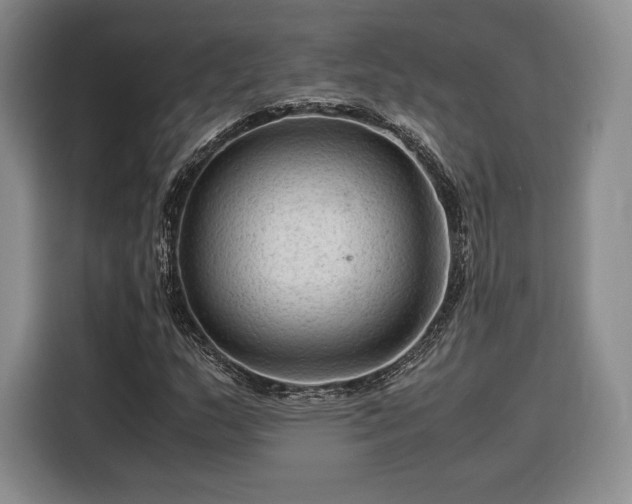 X0000116311159200912071303