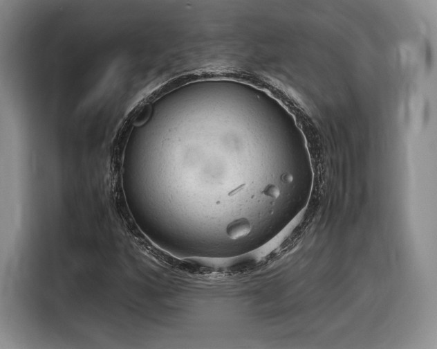 X0000116311160200912071303