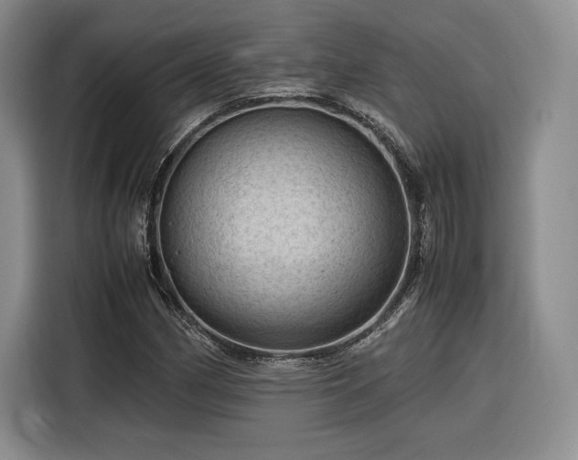 X0000116311162200912071303