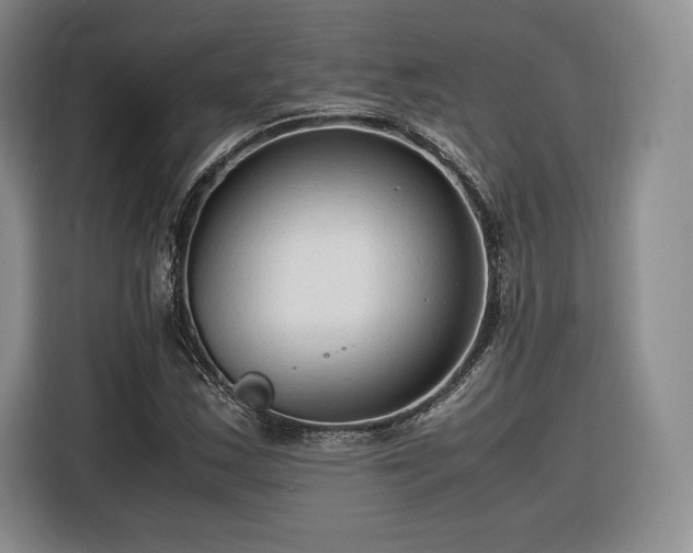 X0000116311163200912071303