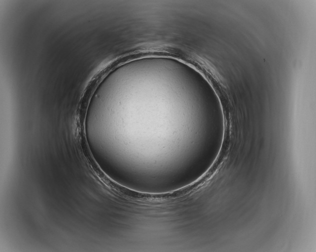 X0000116311164200912071303