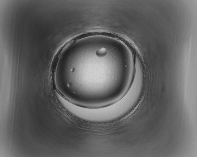 X0000116311167200912071302