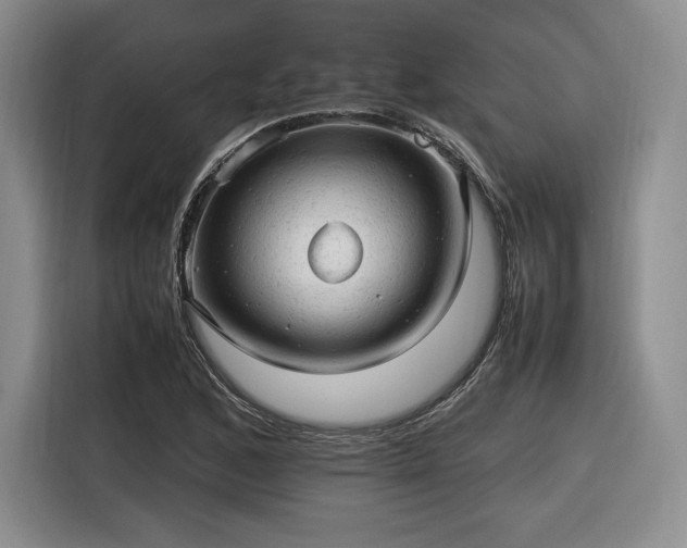 X0000116311168200912071302