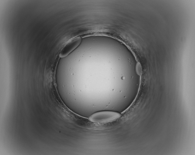 X0000116311169200912071302