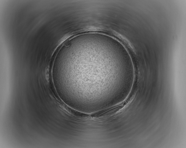 X0000116311170200912071302