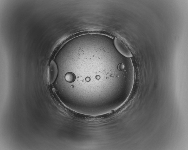 X0000116311171200912071302