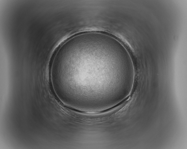 X0000116311173200912071302