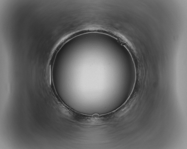 X0000116311175200912071302