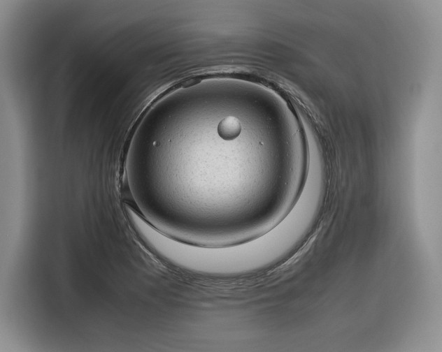 X0000116311177200912071302