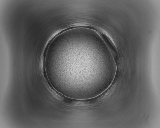 X0000116311179200912071302