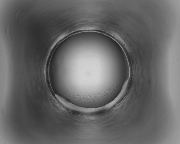 X0000116311181200912071302