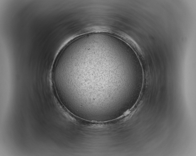 X0000116311182200912071302