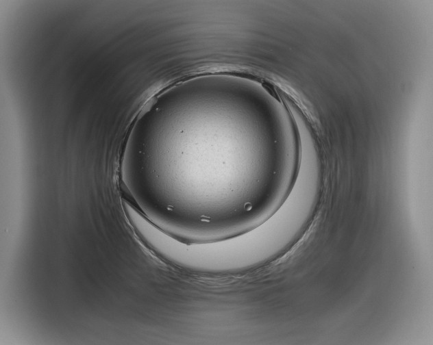 X0000116311185200912071302