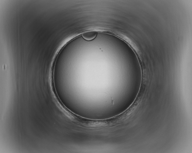 X0000116311187200912071302