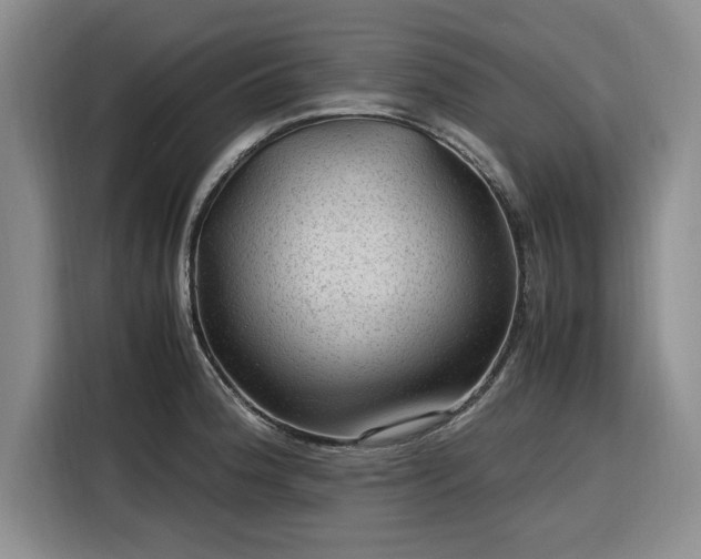 X0000116311188200912071302