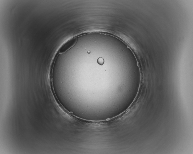 X0000116311189200912071302