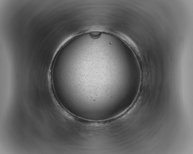 X0000116311190200912071302