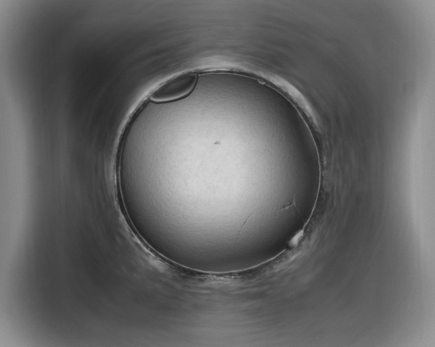 X0000116311191200912071302