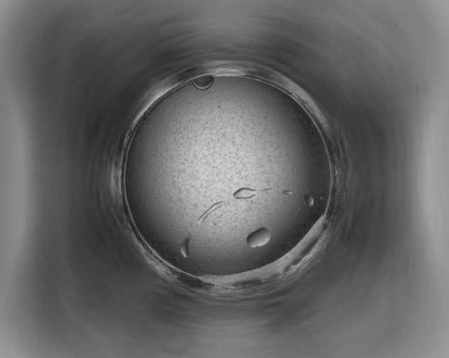 X0000116311194200912071302