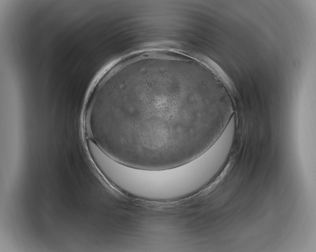 X0000116311196200912071302