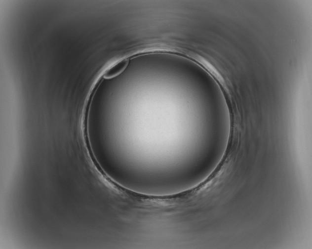 X0000116311197200912071302