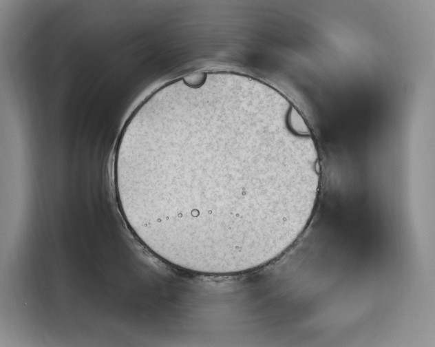 X0000116311198200912071302