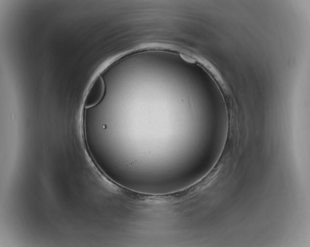 X0000116311199200912071302