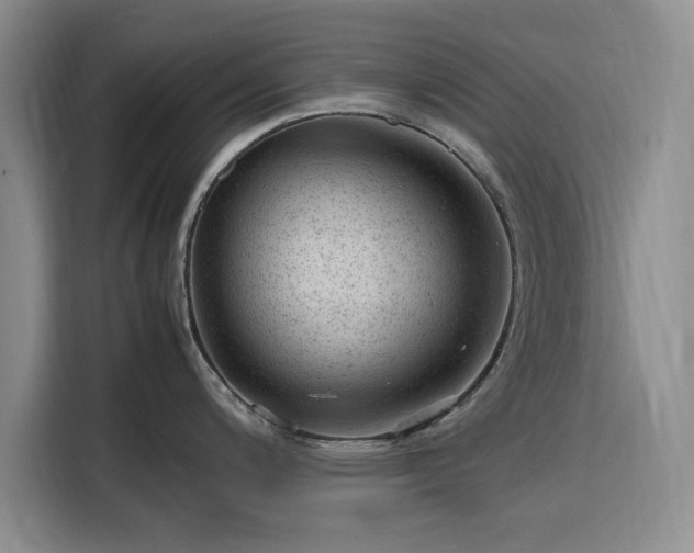 X0000116311200200912071302