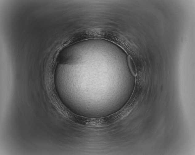 X0000116311201200912071301