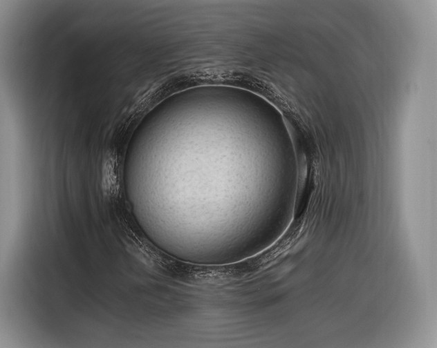 X0000116311202200912071301